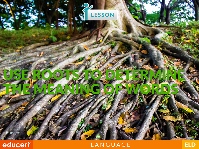 use-roots-to-determine-the-meaning-of-words-lesson-plans