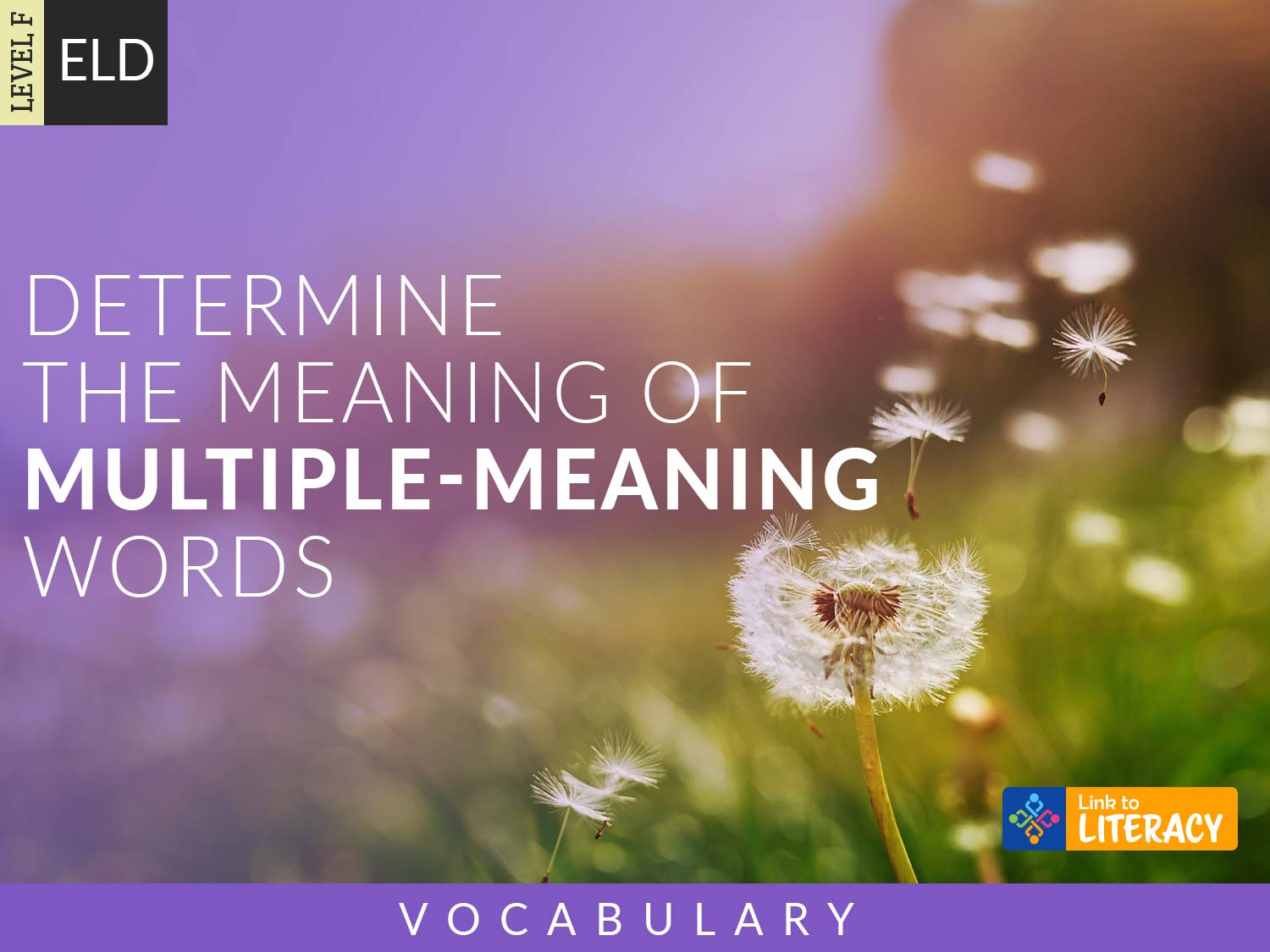 determine-the-meaning-of-multiple-meaning-words-lesson-plans