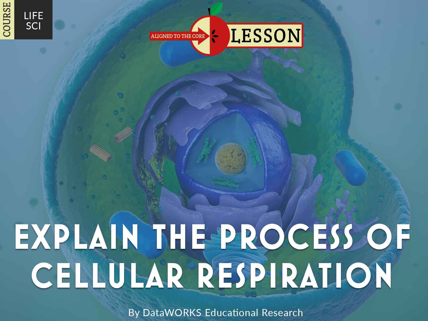 Explain The Process Of Cellular Respiration Lesson Plans