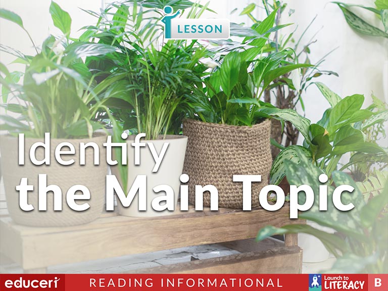 Identify The Main Topic Lesson Plans